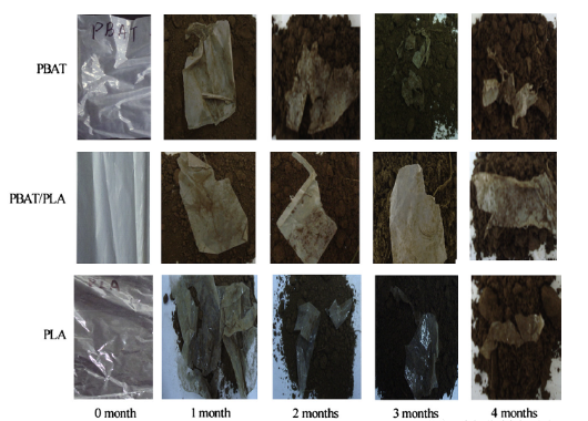 PBAT/PLA共混物（wù）生物（wù）降解塑料袋的降解過程(圖2)
