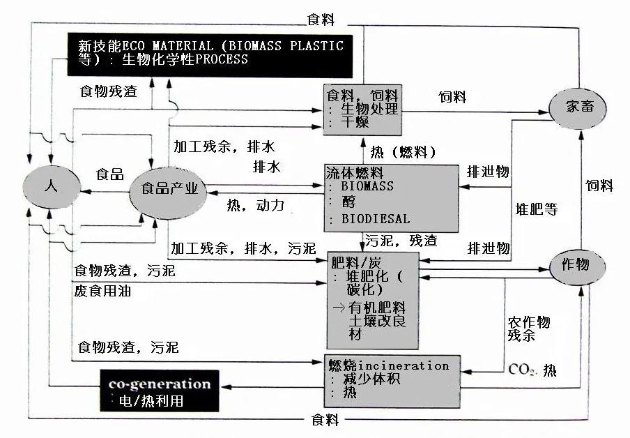 可生物降解環保塑料可以回收再利用（yòng）嗎？(圖2)