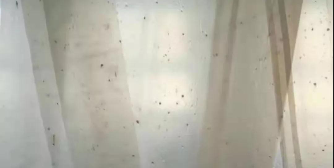 PBAT膜（mó）袋有黑（hēi）點是什麽原因？(圖1)