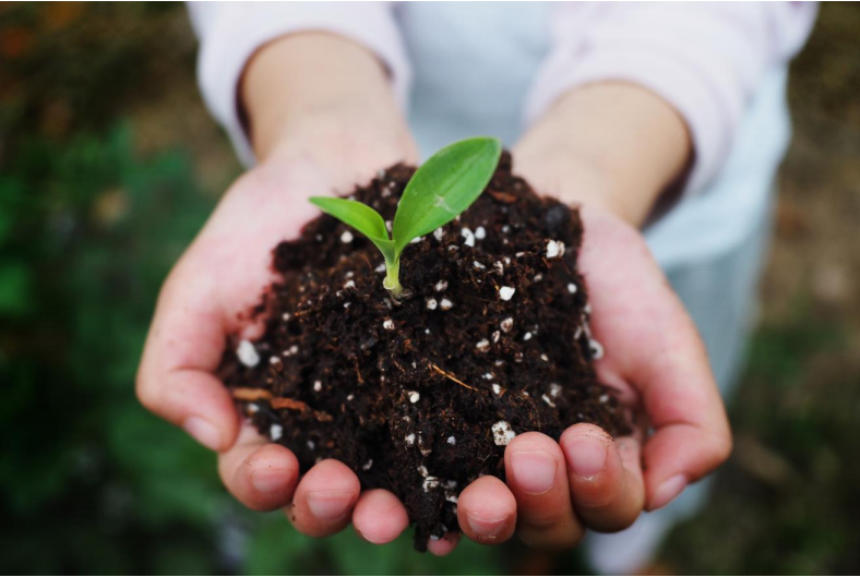 巴斯夫攜手彤程新材料集團在中國（guó）合作生產經 認 證可堆 肥共聚酯 （PBAT）(圖2)