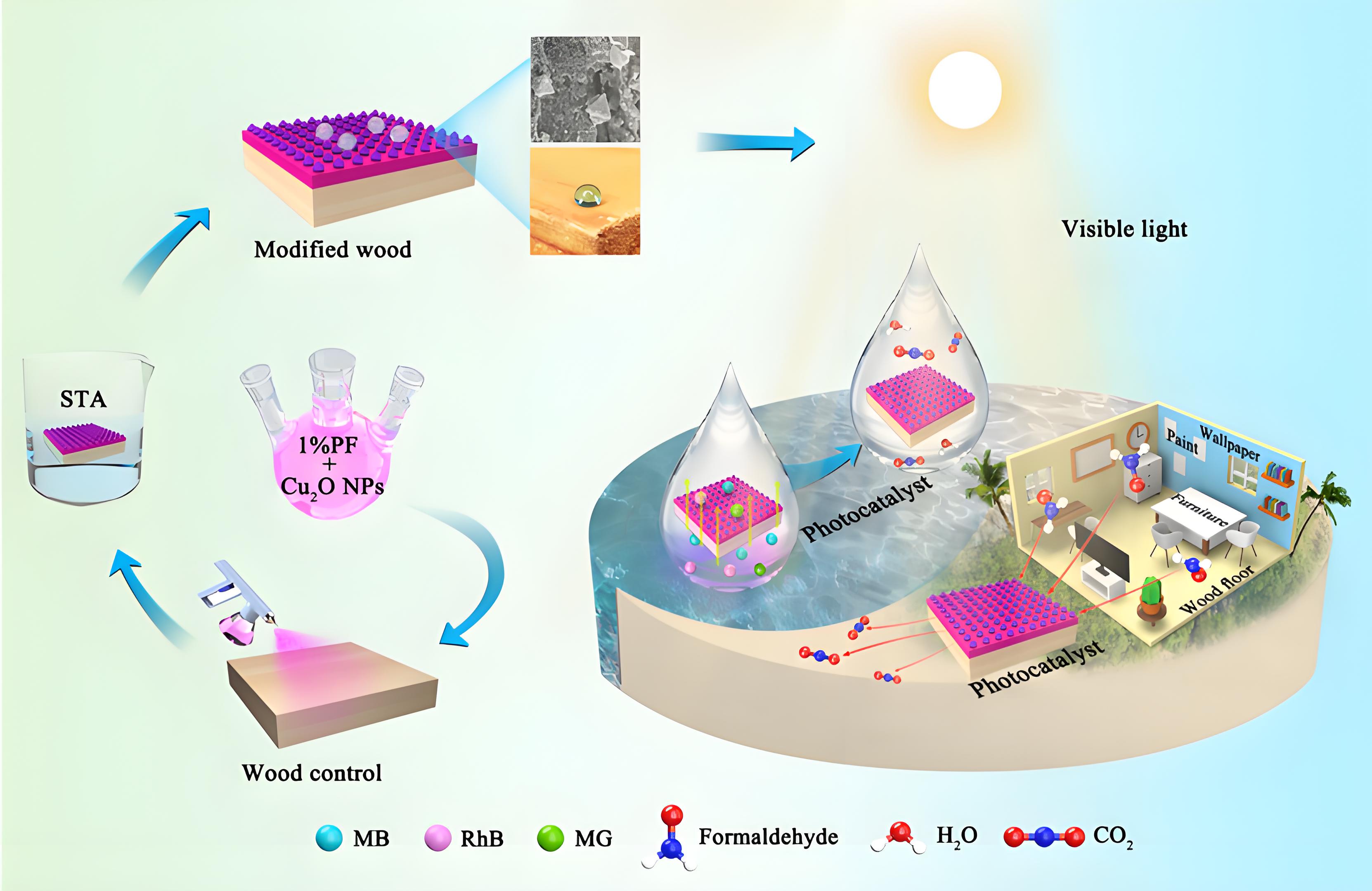 光（guāng）降解和生（shēng）物降解塑料袋區別？(圖1)