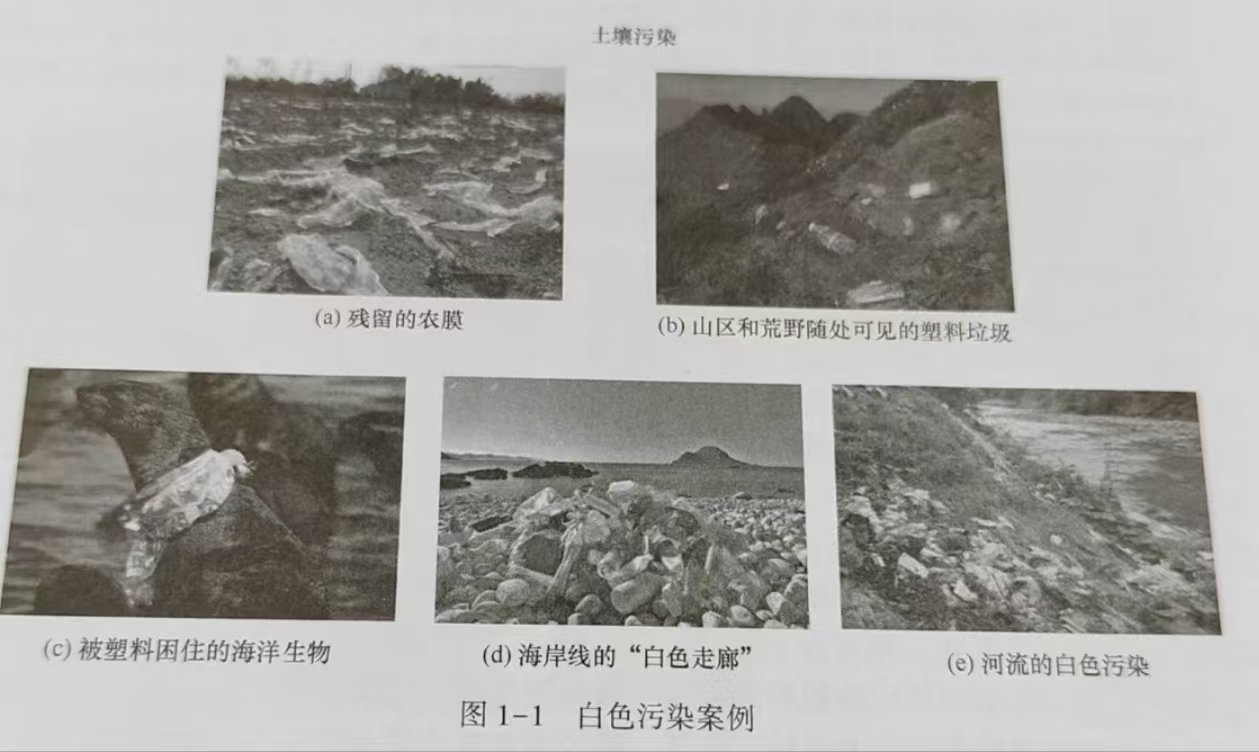 生物降（jiàng）解高分子材料(圖1)